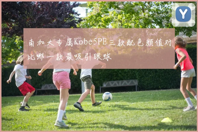 南加大专属Kobe5PE三款配色颜值对比哪一款最吸引眼球