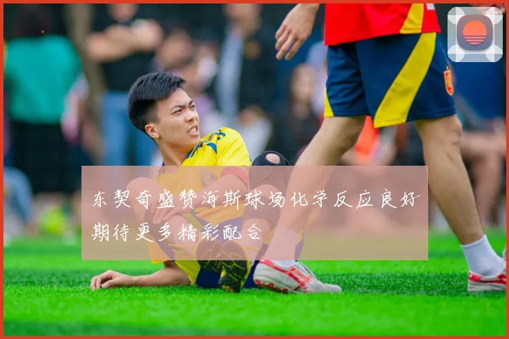 东契奇盛赞海斯球场化学反应良好期待更多精彩配合