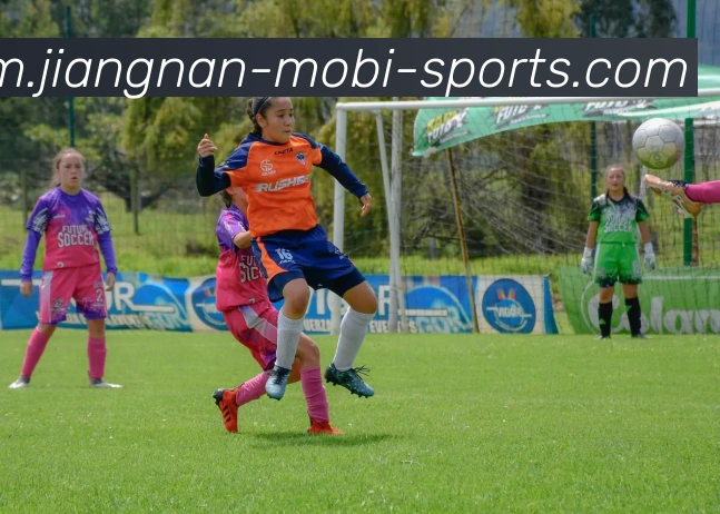 多媒体互动体验